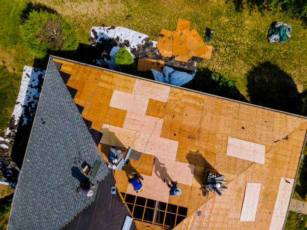 Best Roof Gutter Cleaning  in Buhl, MN