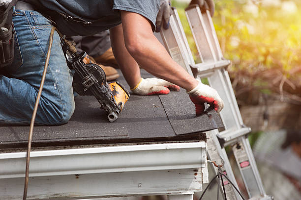 Best Roof Repair Services  in Buhl, MN