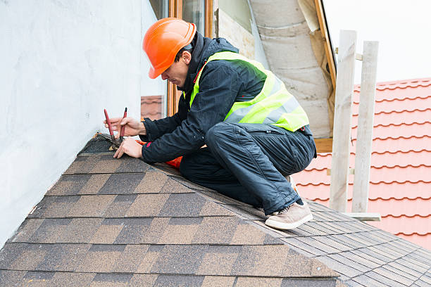 Best Local Roofing Companies  in Buhl, MN