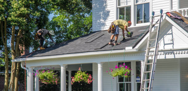 Best Roof Maintenance Services  in Buhl, MN